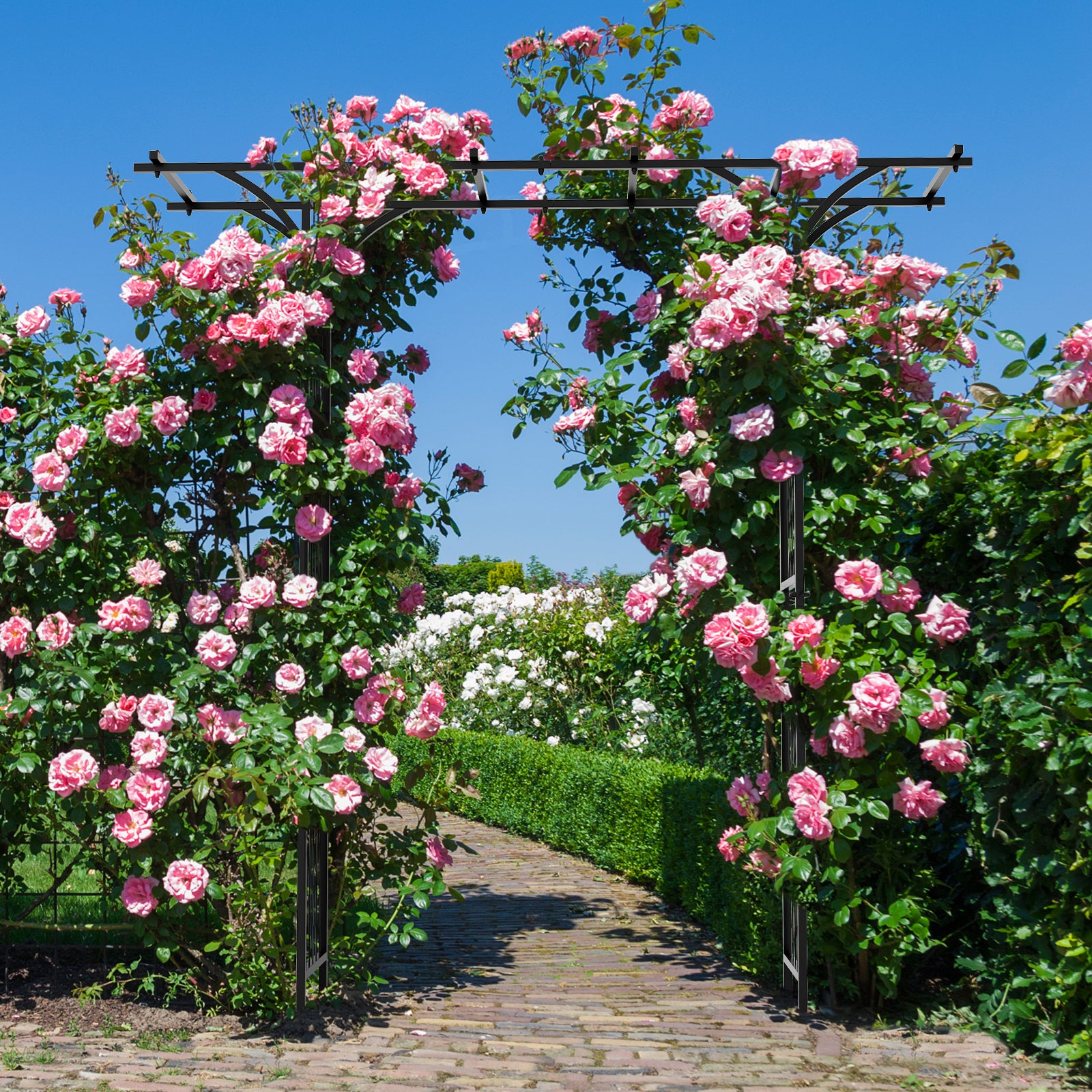 Nero Arco Da Giardino Mezza Arcata Per Glicine Rose Piante Rampicanti