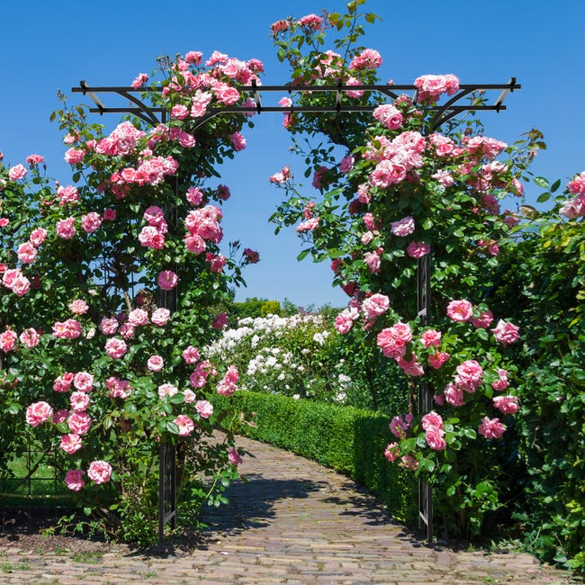 Nero Arco Da Giardino Mezza Arcata Per Glicine Rose Piante Rampicanti Nero Arco Da Giardino Mezza Arcata Per Glicine Rose Piante Rampicanti