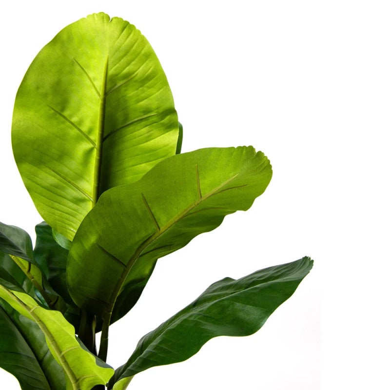 Bananier artificiel de 86 cm avec pot | Plantes en plastique pour la décoration intérieure et extérieure - 2