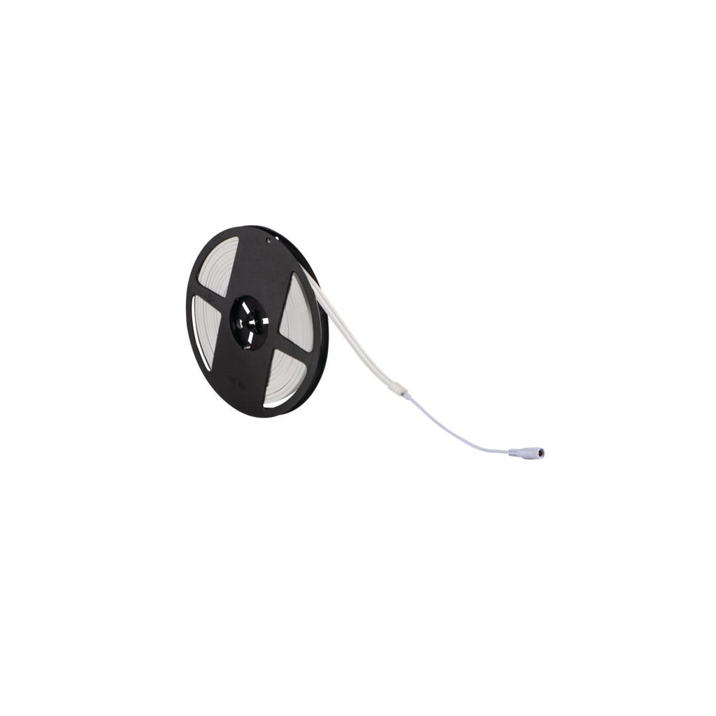 Neon LED12W/M - Blanc Naturel 4000K - IP65 - 5000mm - 24V | Leroy Merlin