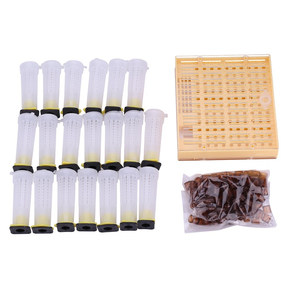 Boîte Cellules Apicole Plastique Kit D'élevage De Reines Abeilles – Boîte à Cupules Plastique, Système Sans Greffage – Pour Apiculteurs élevage Reines Sans Greffe