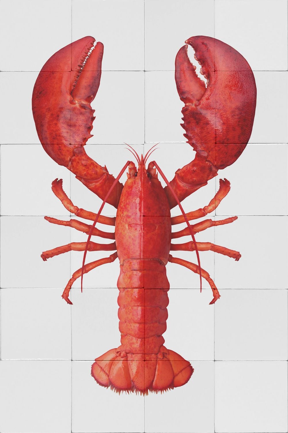 Naklejka na ścianę homar czerwonym - 145 x 97 cm - ESTAHOME