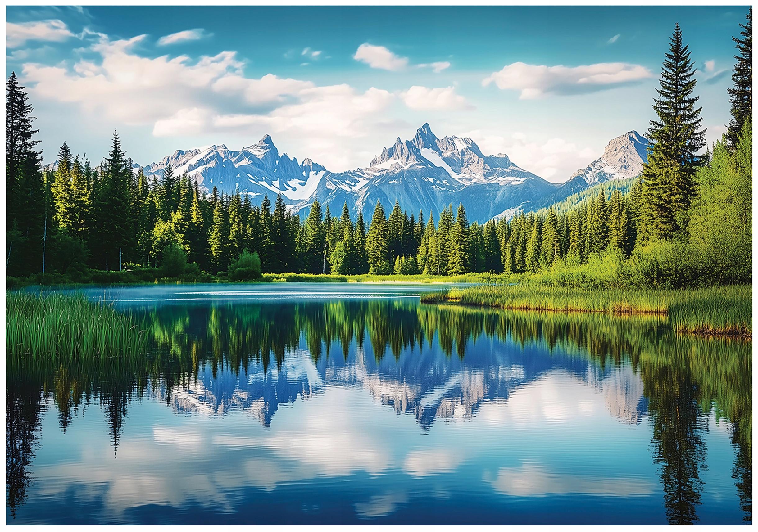 Carta Da Parati Decorativa Portale Magico - Vista Da Una Finestra Su Paesaggio Forestale E Fiori Su Sfondo Di Parete In Legno - Effetto Profondità - Foto 9