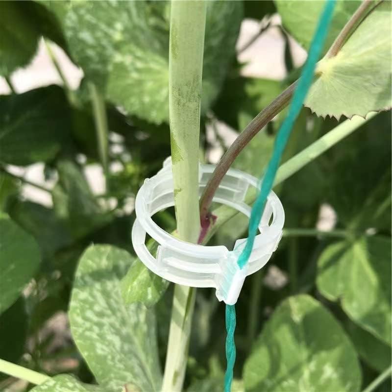 Lot De 50 Clips De Connexion Pour Treillis De Plantes En Plastique - Tiges Jardin 11/16/20 Mm