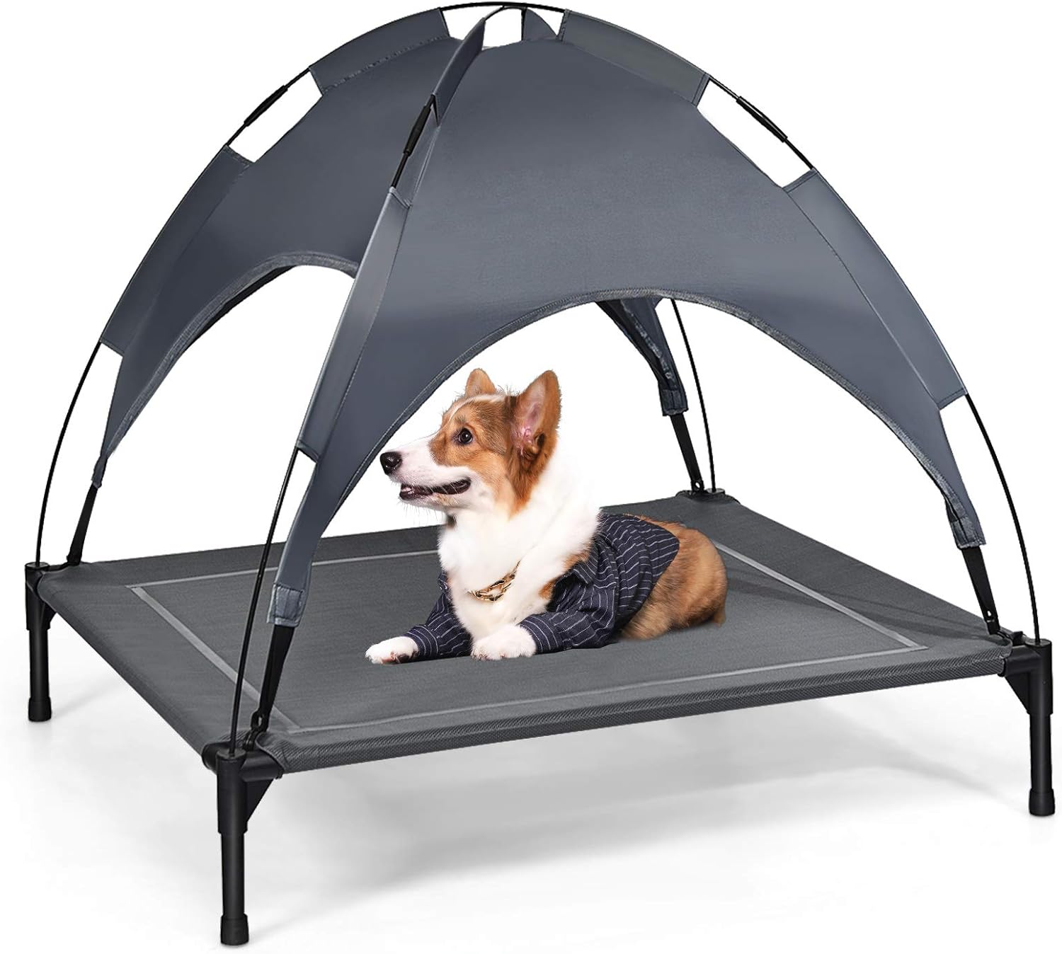 Tumbona para perros con techo, cama elevada para perros con marco