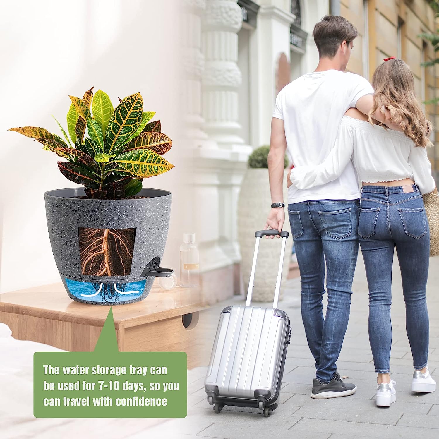 Pots à arrosage automatique de 6,5 pouces avec trous de drainage, 3 pots de fleurs en plastique pour plantes d'intérieur - 5