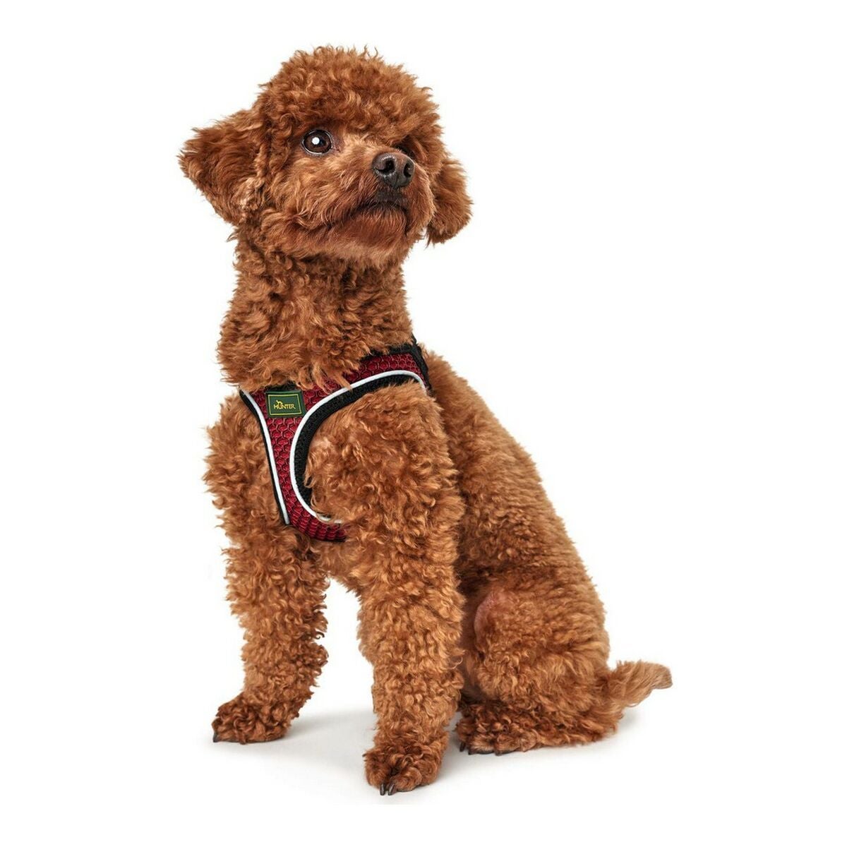 Arnés para Perro Hunter Hilo-Comfort Rojo Talla M (55-60 cm) - 2