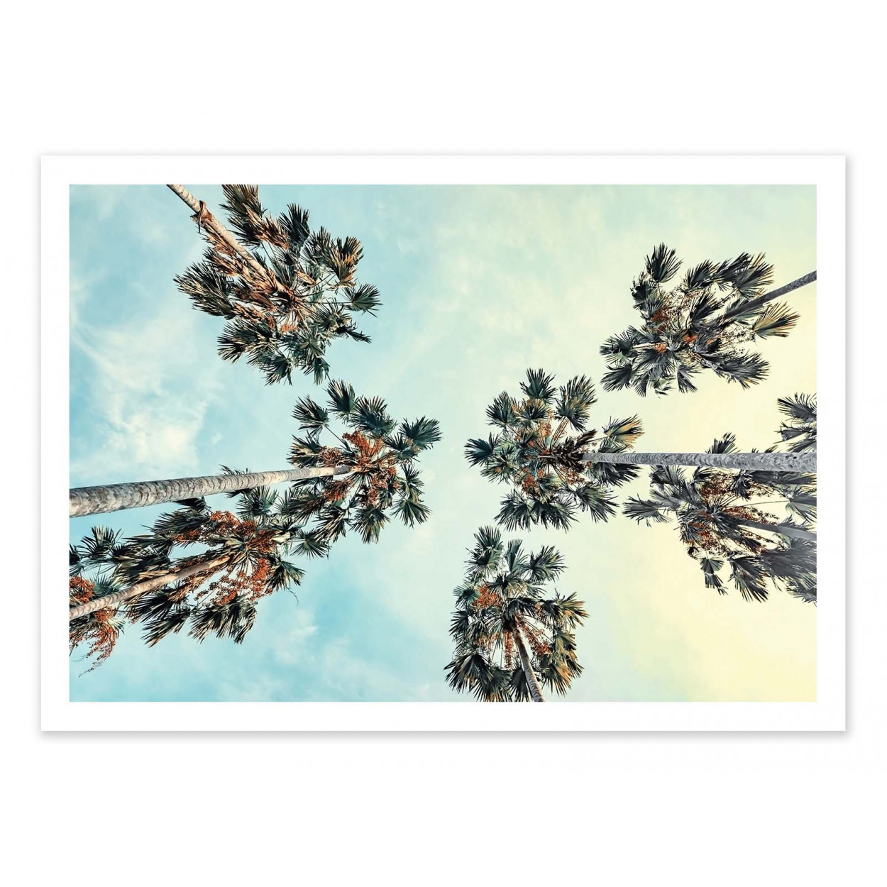 Art-poster - tropical vibes - manjik pictures - 50 x 70 cm