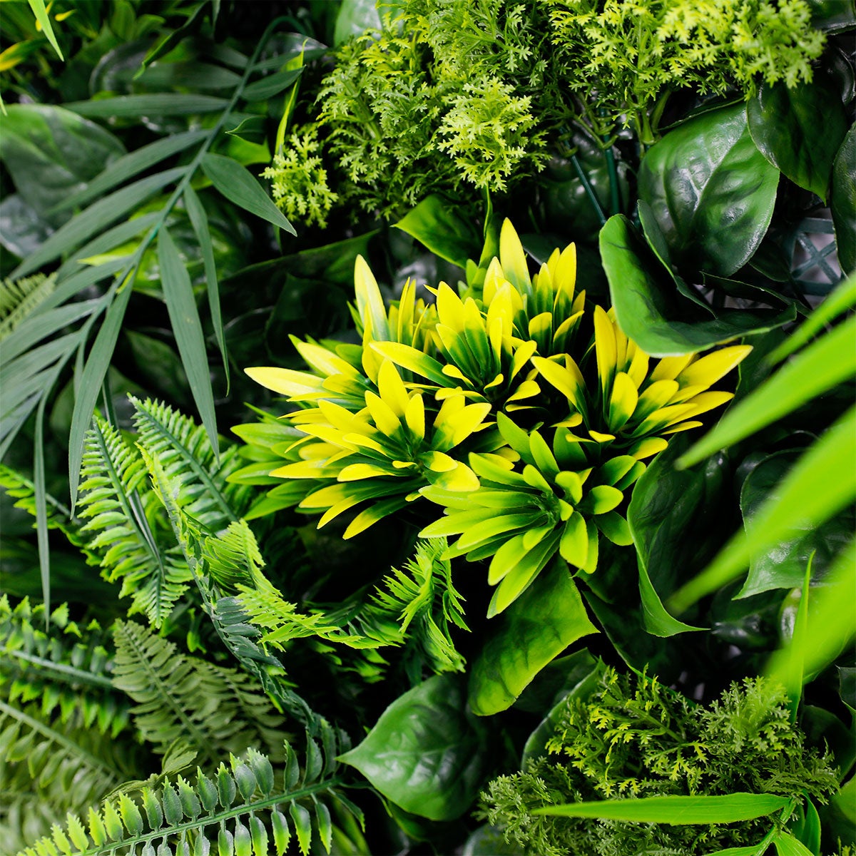 Exotik Mur vegetal artificiel plaque de 1mx1m La Jungle - 8