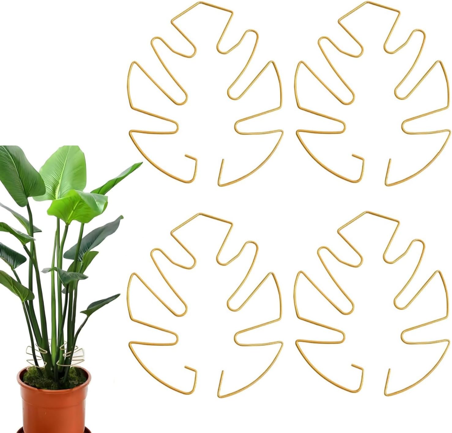Podprka do lici Monstera, 4 sztuki, zota, metalowa, do rolin pncych  Monstera - Leroy Merlin