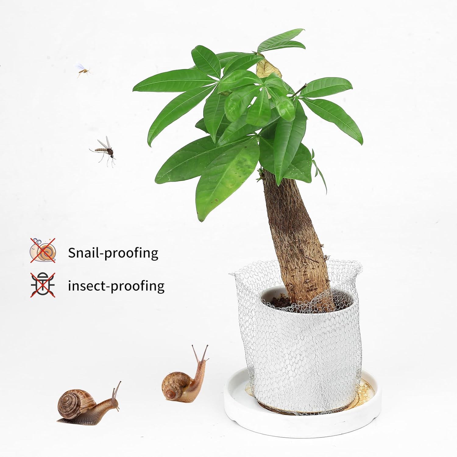 Rete in acciaio inossidabile intrecciata da 12,7 cm x 9 m per lumache, roditori, uccelli, parassiti, topi e giardino - 4