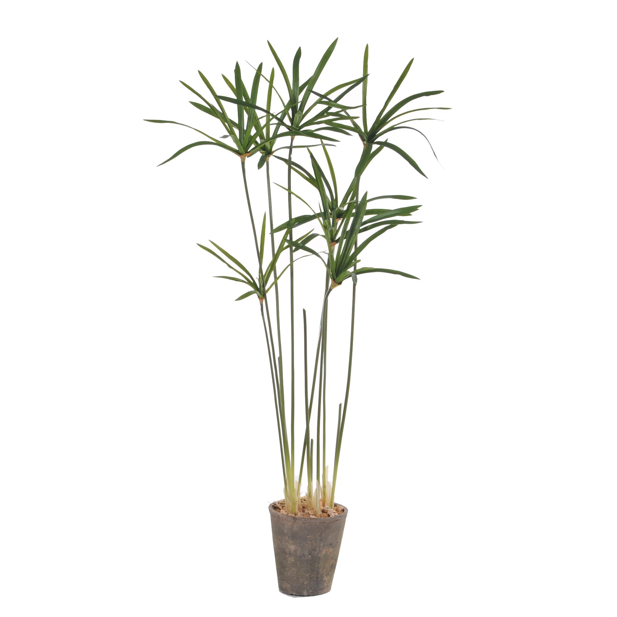 Papiro di plastica BENEDETTO, verde, 115cm