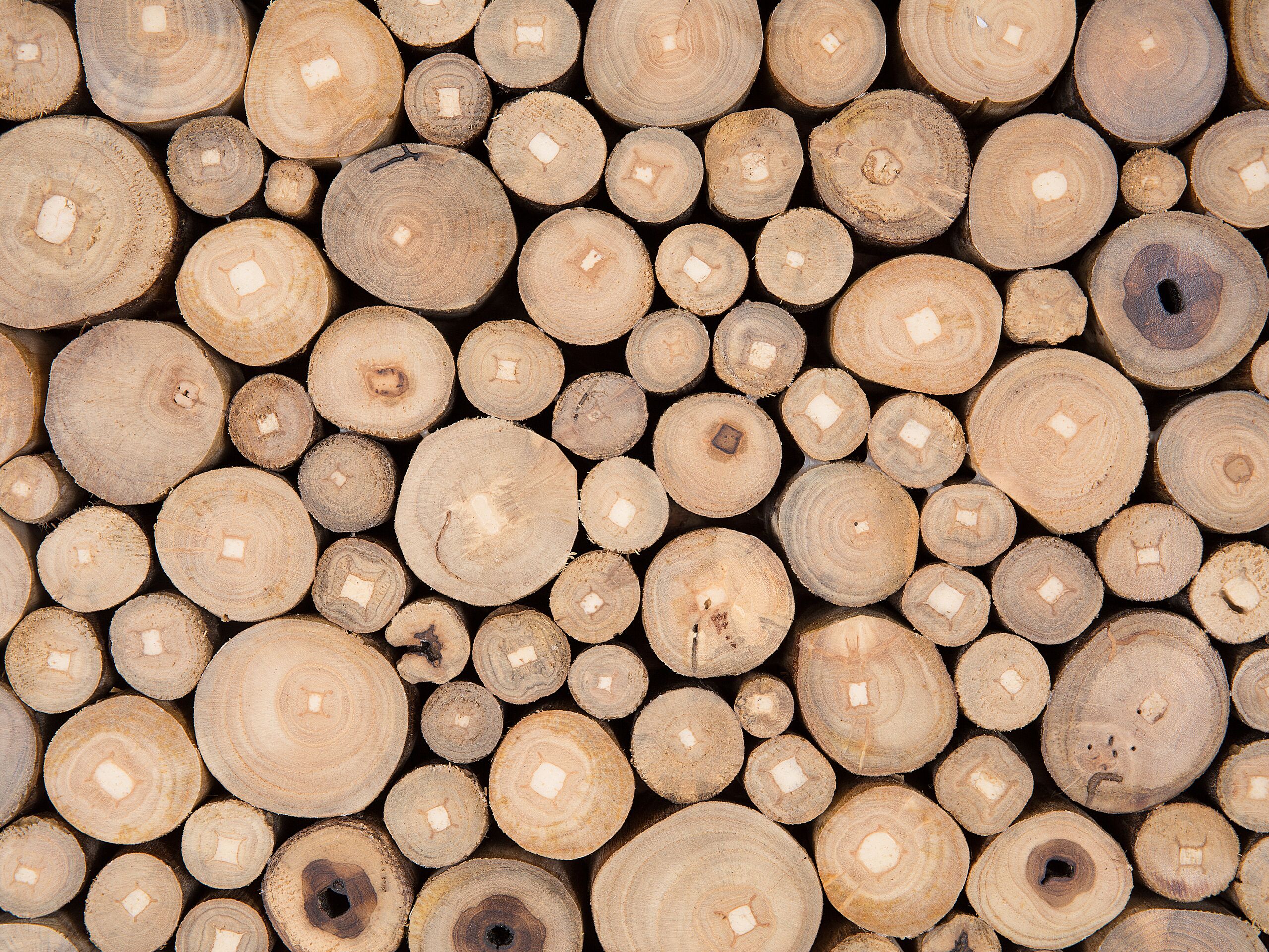 Décoration murale TWIG Teck 85 cm Marron clair - 4