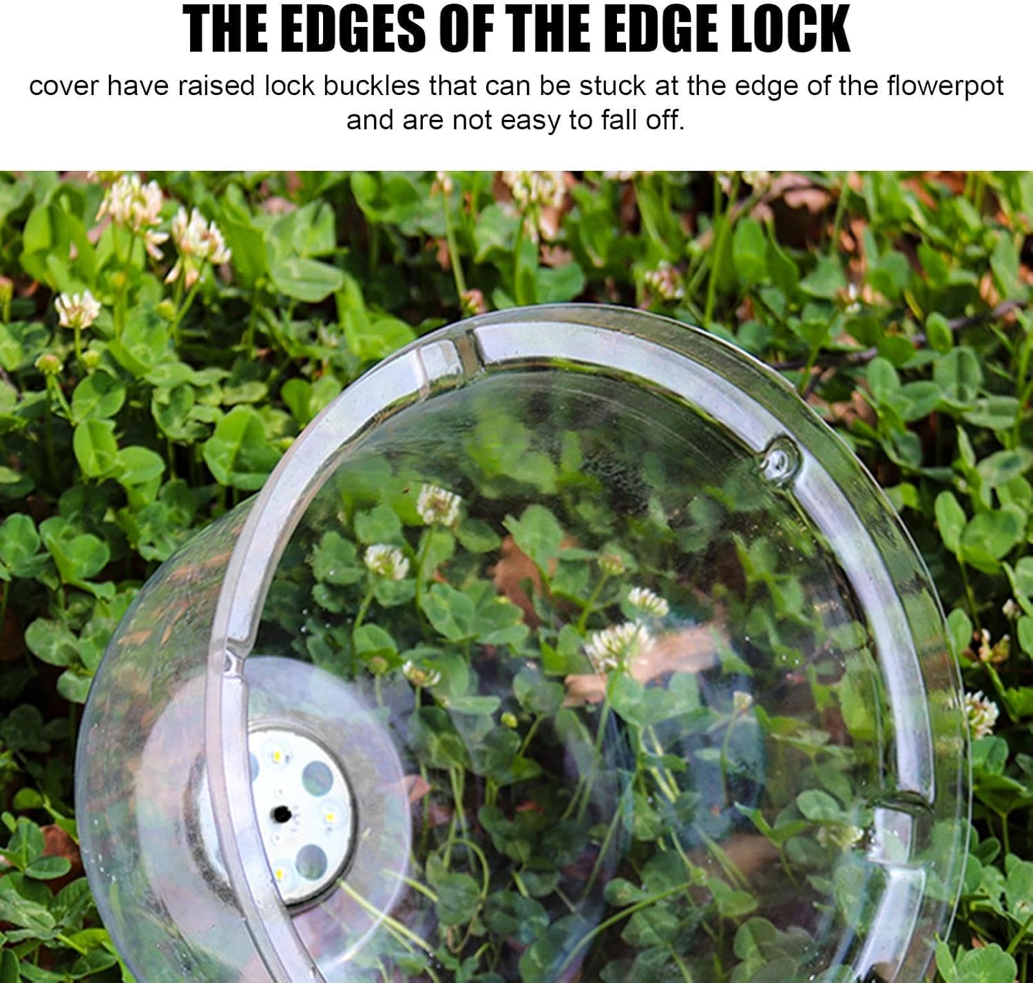Generisch Lot de 10 Cloches de Jardin Transparentes réglables pour protéger Les Contre Les escargots et Les Oiseaux - 6