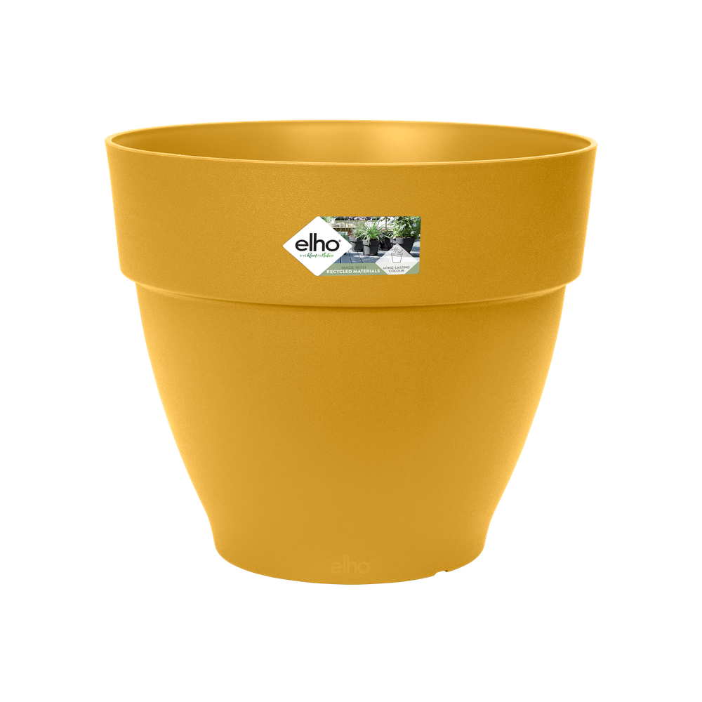 Jaune / doré
