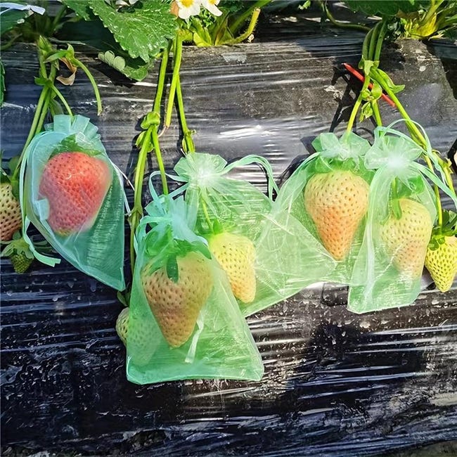 100 bolsas de protección para frutas, bolsas de malla verdes con