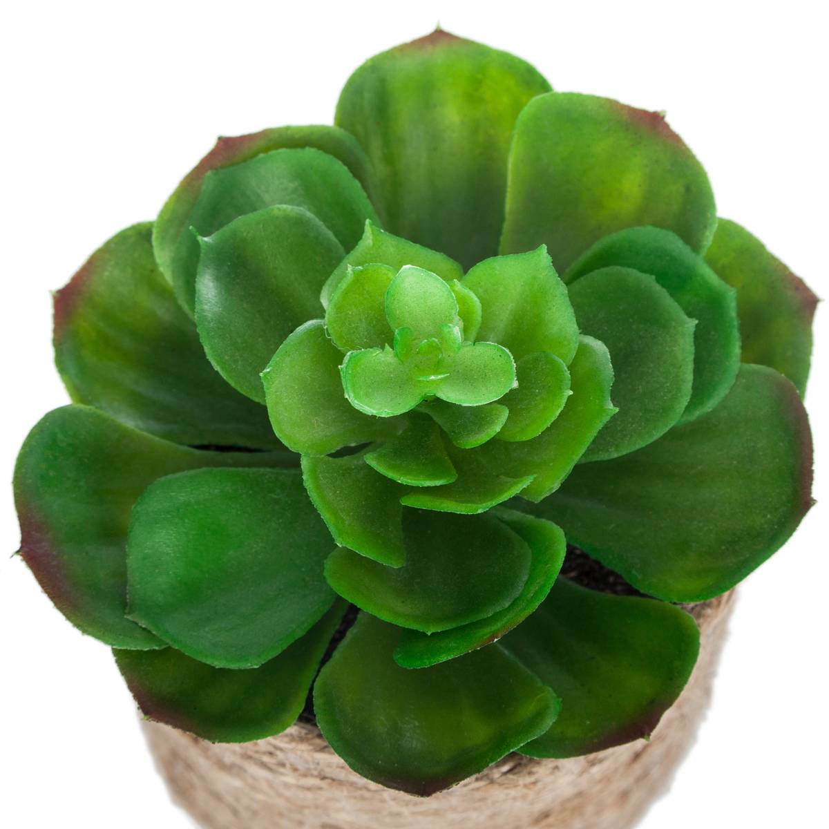 Plante Artificielle H16cm Multicolore - Atmosphera Créateur d'intérieur - 3