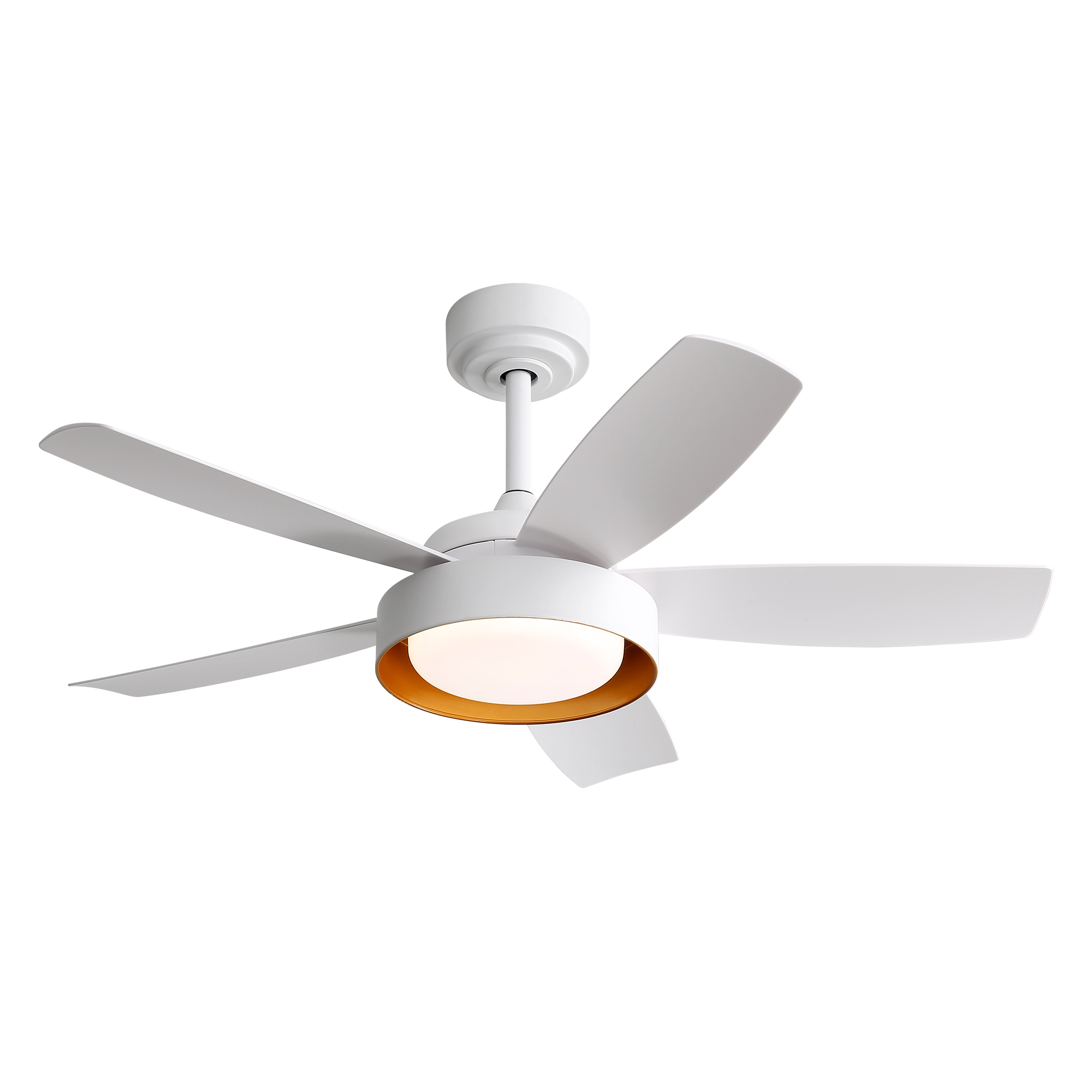 Elegante e funzionale: ecco il ventilatore da soffitto perfetto per tutte le stagioni