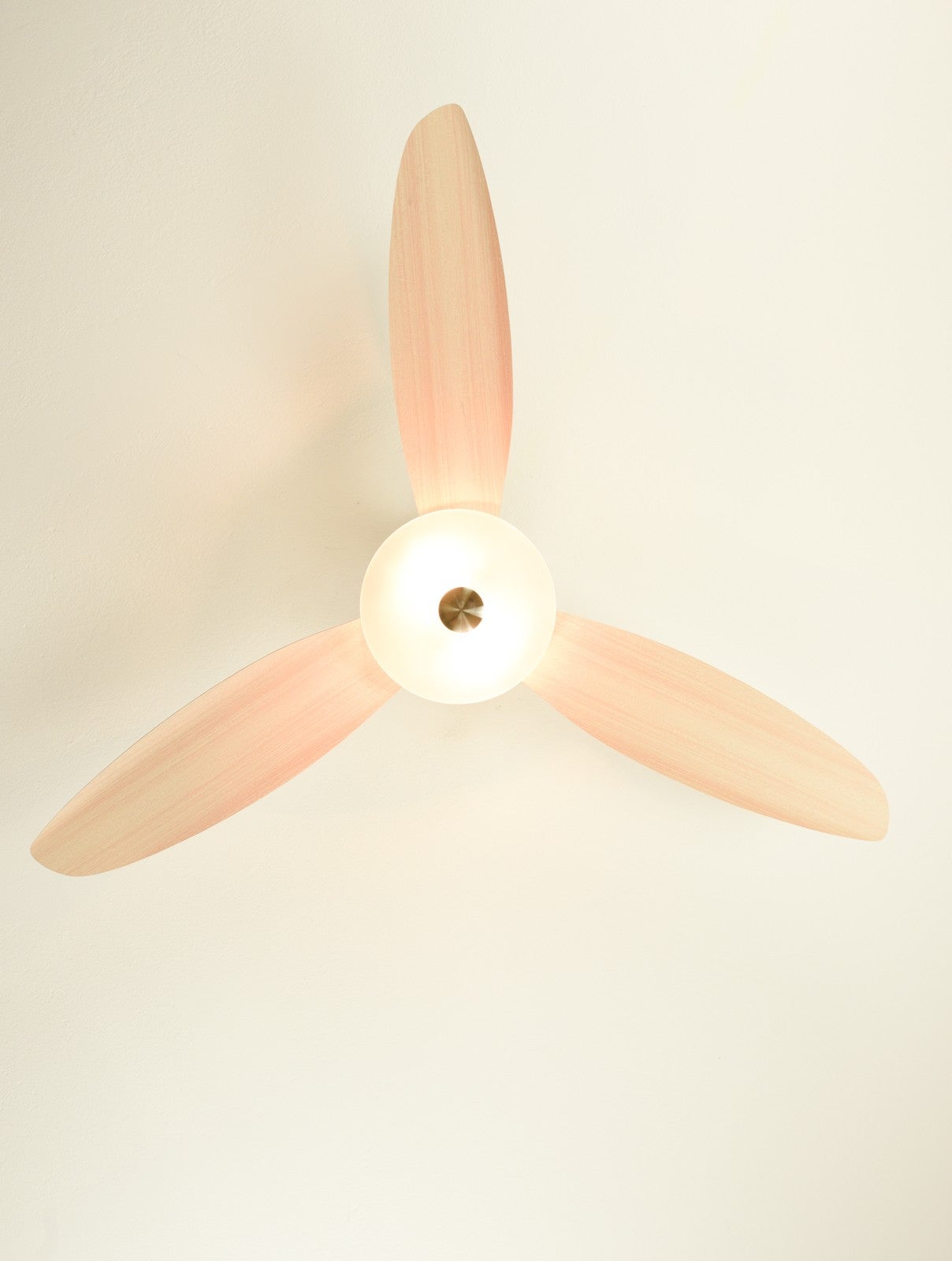 Ventilateur de plafond Aero 132 cm avec éclairage et télécommande - 3