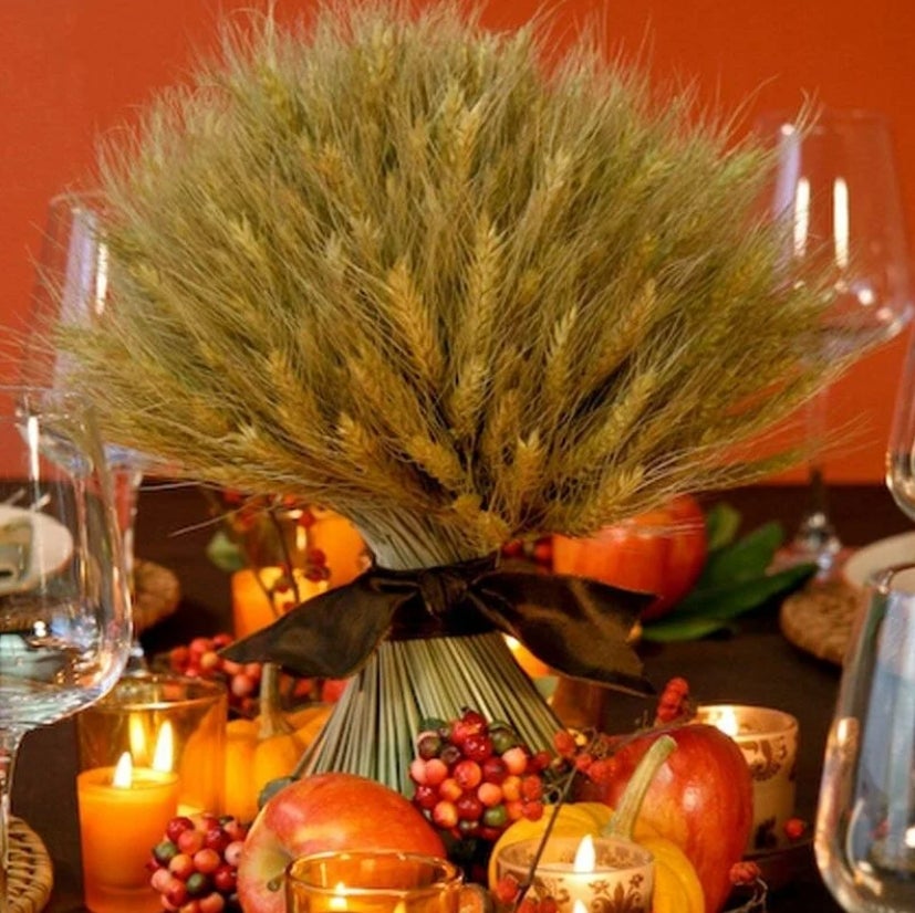 100pcs Blé Séché Bouquets ,Fleurs Sechees Naturelles Decoration pour Balcon Maison Table Composition Florale 40cm - 2