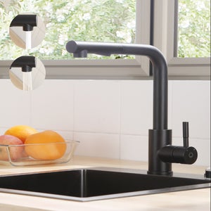 Cecipa max Mitigeur de Cuisine Robinet Cuisine avec Douchette Robinet d'évier Extractible à 2 Jets Mitigeur Evier Acier Inox (Noir),EU Modèle
