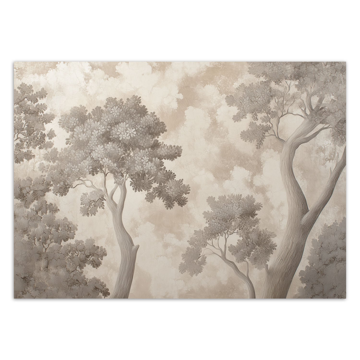 Fototapeta, Drzewa natura 450x315