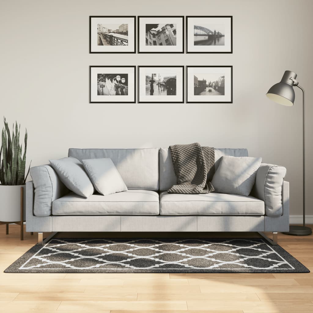 Dywan z możliwością prania, czarno-biały, 80x150 cm vidaXL