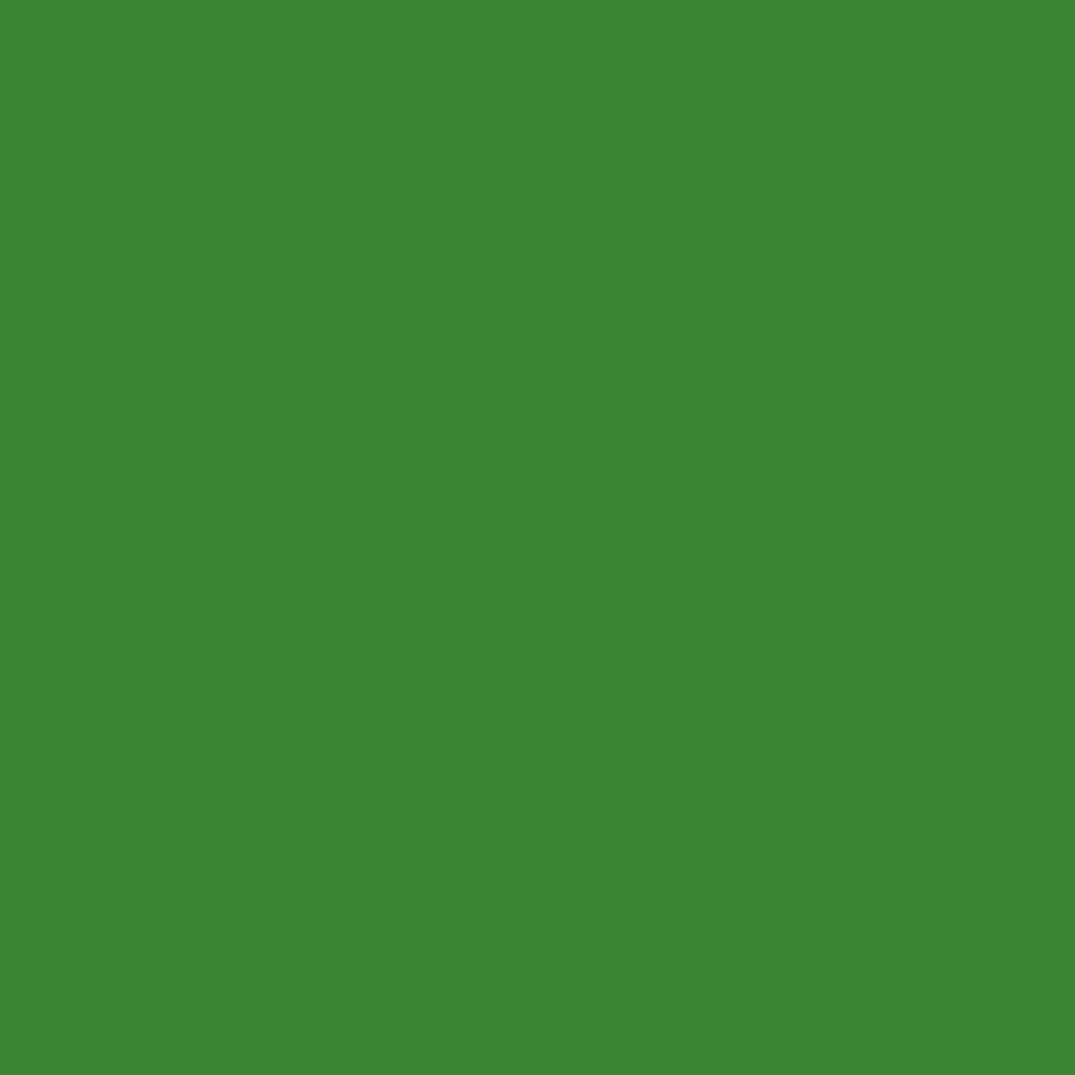 Peinture Gazon, Pelouse, Végétation : ARCAGREEN Vert - 1 L - ARCANE INDUSTRIES - 2