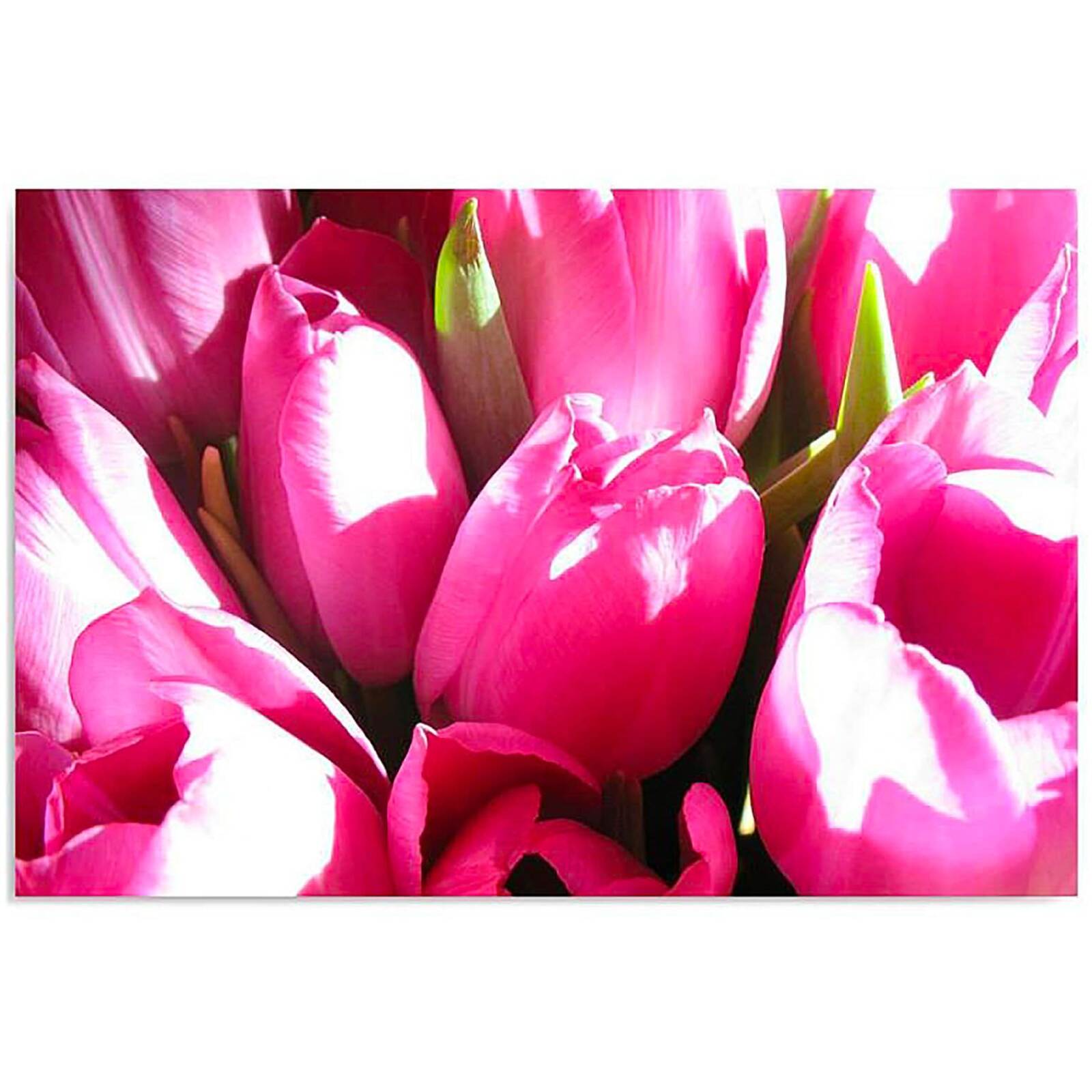 Ruban écharpe Fine Et Soyeuse à Imprimé Fleuri, Pour Le Cou Ou Le Sac, Motif Tulipes Roses
