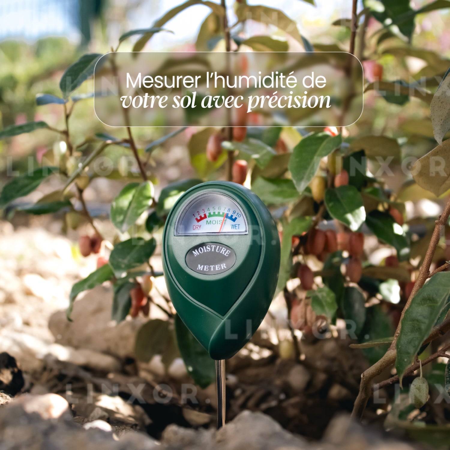 Testeur, capteur d'humidité, hygromètre pour plante ou sol - Linxor - 5