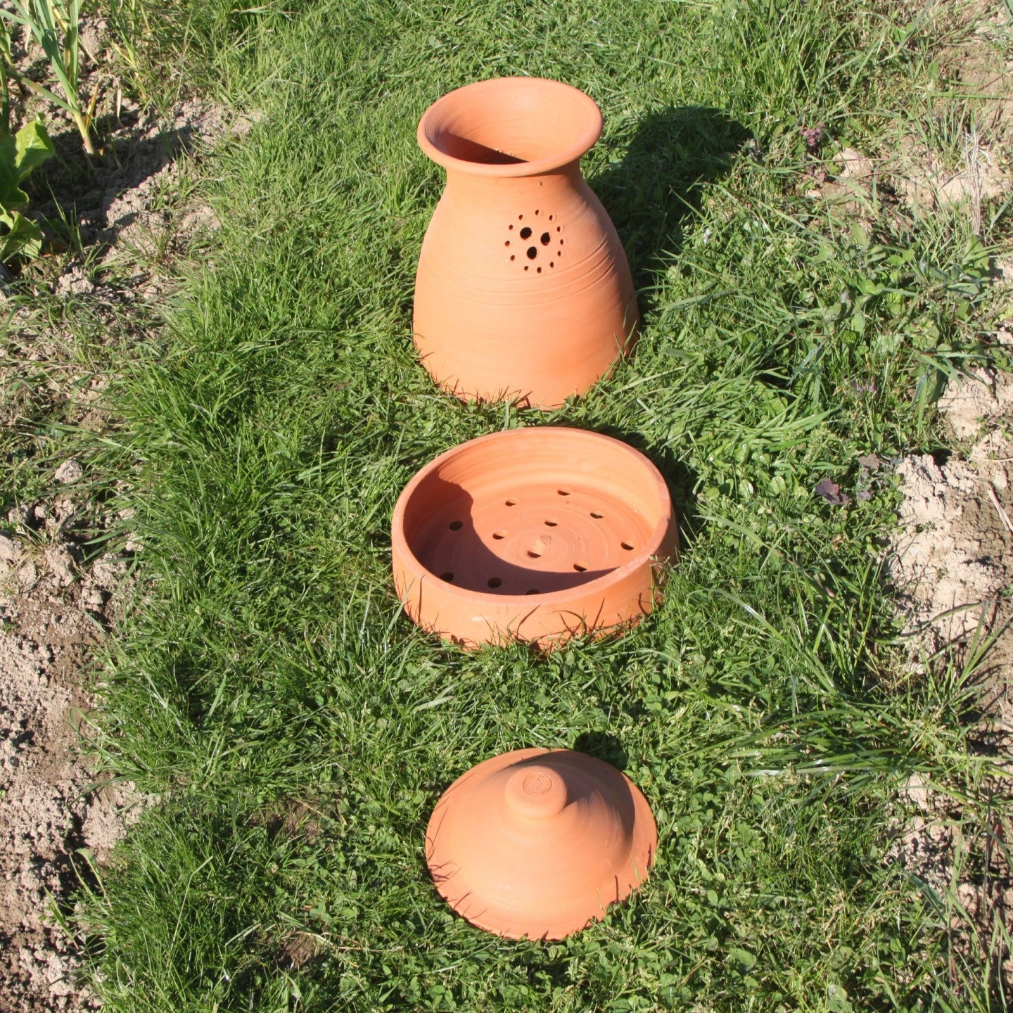 Pure garden - 3