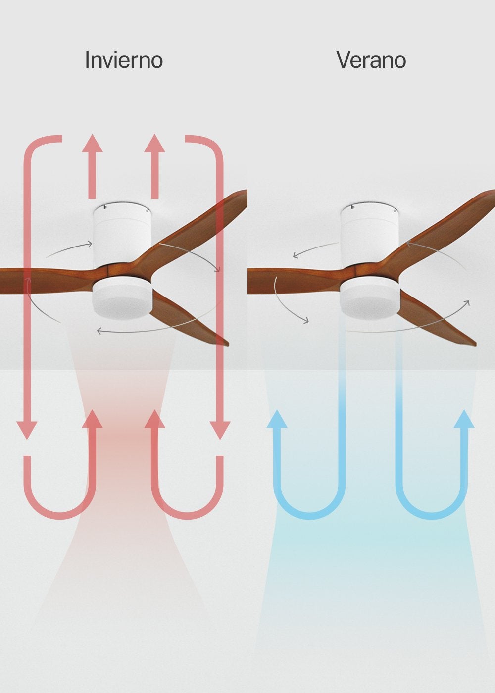CREATE - WIND CALM M - Ventilateur de plafond silencieux 40W avec pales techniques en ABS Ø132cm avec eclaraige avec contrôleur mural - 6