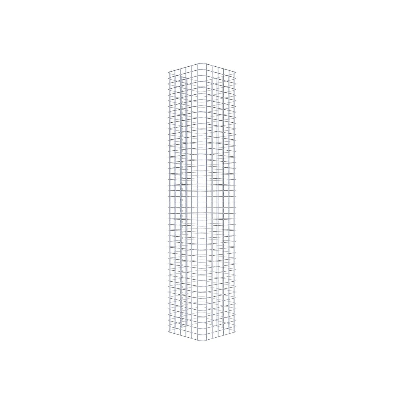 Stampino Per Biscotti Birkmann Formaggio Piede - Acciaio Inox Grigio 4x4x5 Cm