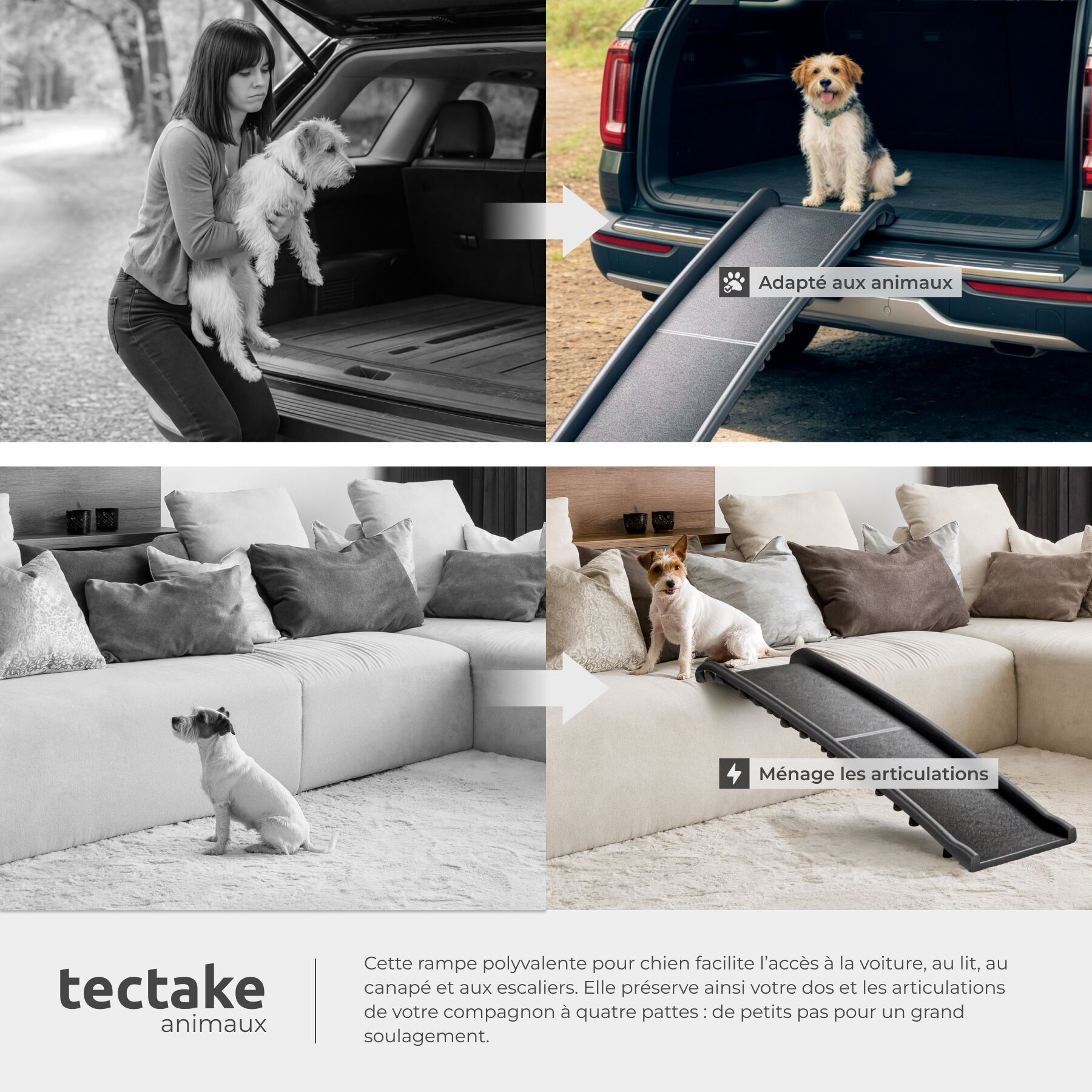 TECTAKE Rampa para perros plegable y antideslizante - 7