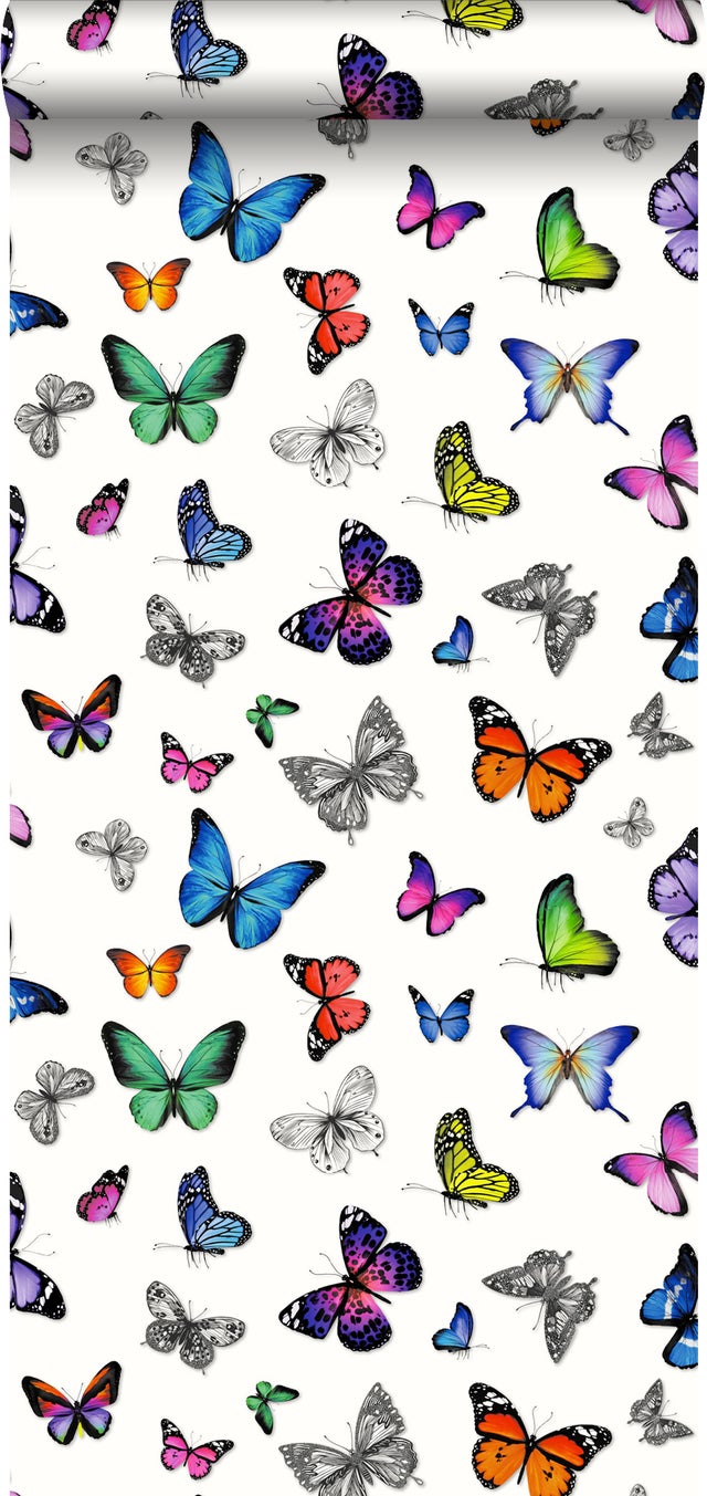 Papel de parede borboletas multicor - 53 cm x 10.05 m - ESTAhome