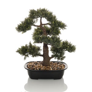Kwiaty bonsai | Leroy Merlin