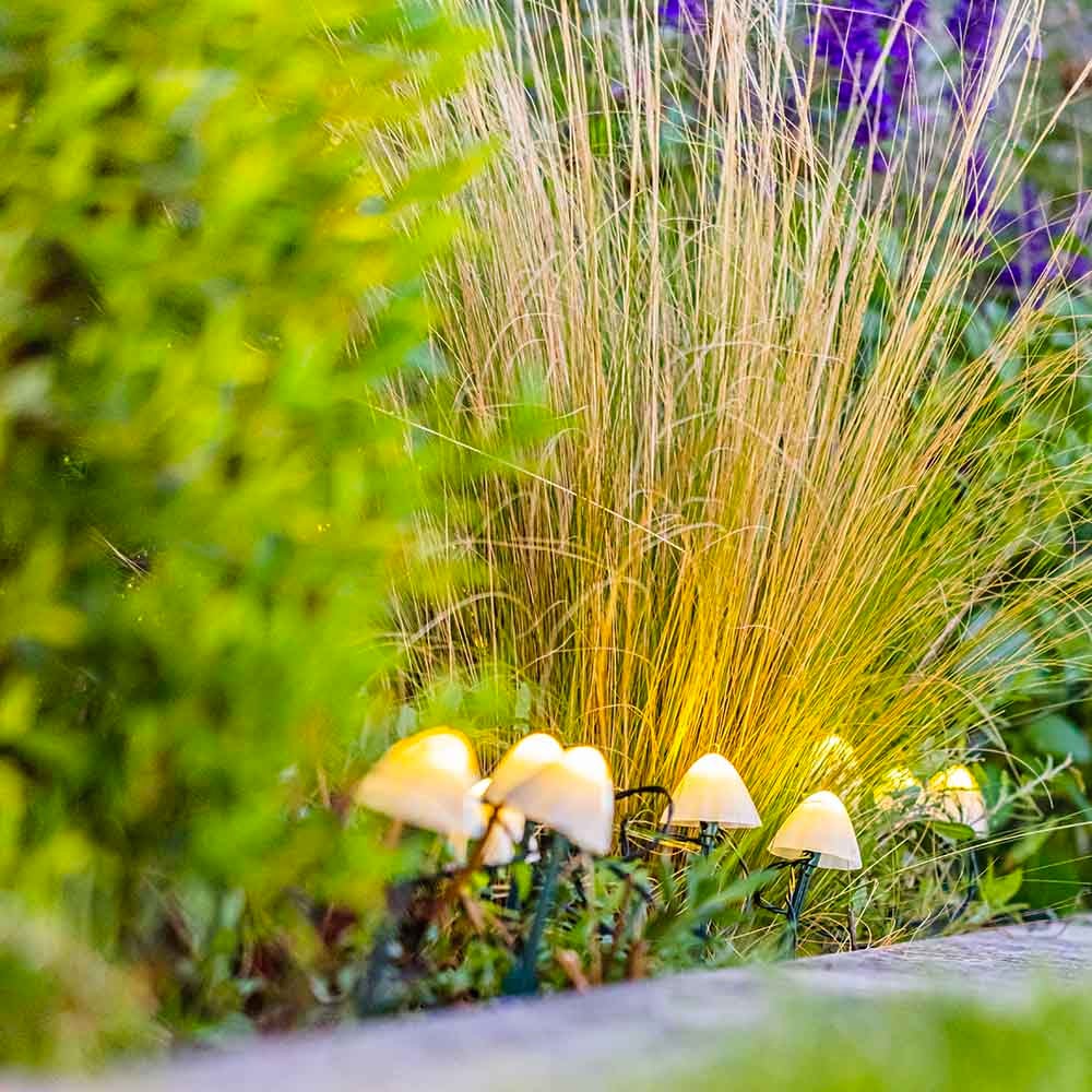 10 mini-champignons lumineux solaires a piquer - LUMISKY - CHAMPY - 3.8 m - Balisage allée - LED blanc chaud - 5