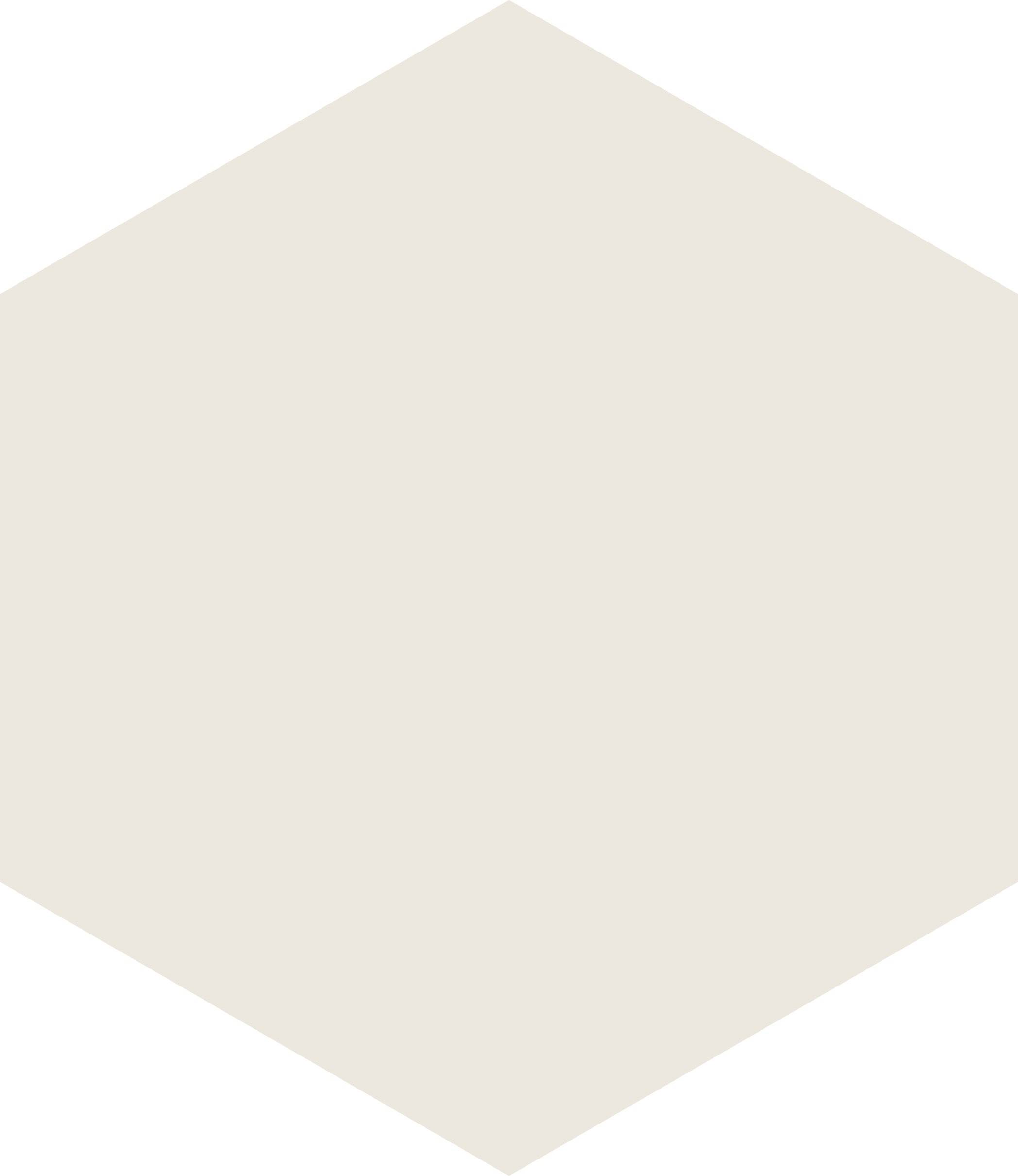 Carrelage Coloré Hexagone 17,5x20,2 Home - BLANC - 17.5 x 20.2 | Leroy ...