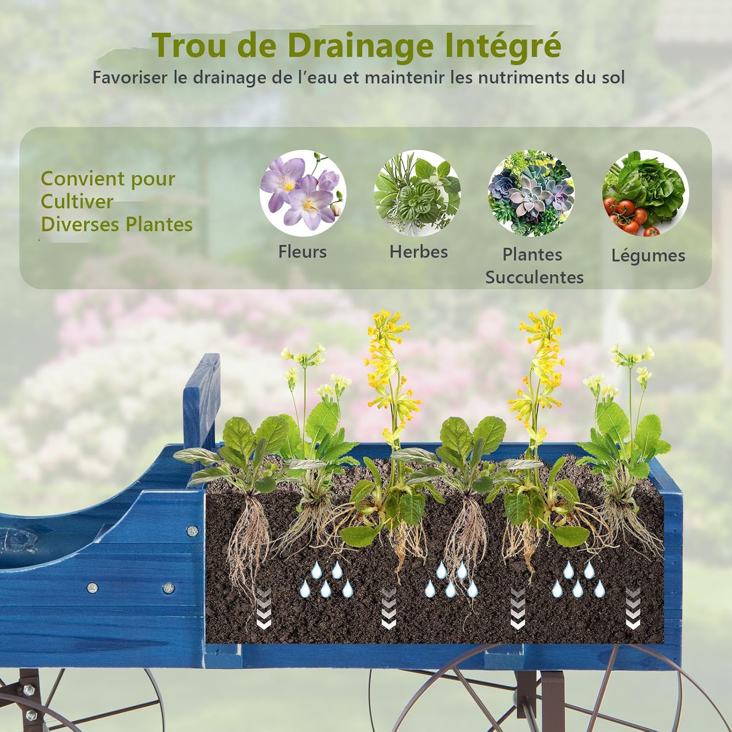 Jardinière Forme Brouette, Brouette Décorative en Bois avec 4 Roues en Métal, 2 Bac de Plantation Séparés avec Trous de Drainage, 35×62,5×60cm (Bleu) - 4