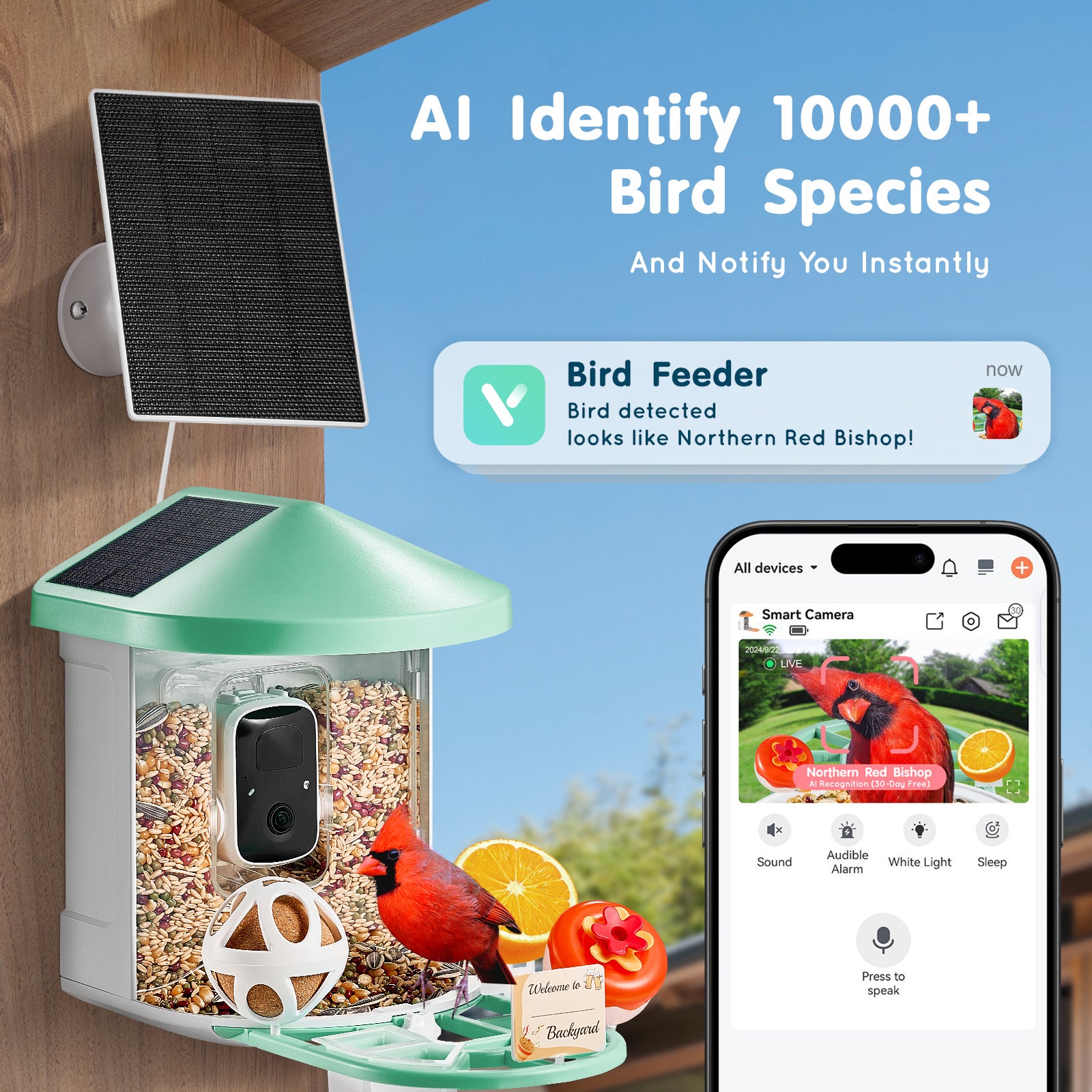 Caméra Nourrisseur d'Oiseaux Intelligent,SucceBuy 2K HD,IA 10000+ Espèces,3 Pannesaux Solaire,Capture Automatique,Cadeau pour Amateurs d'Oiseaux - 4