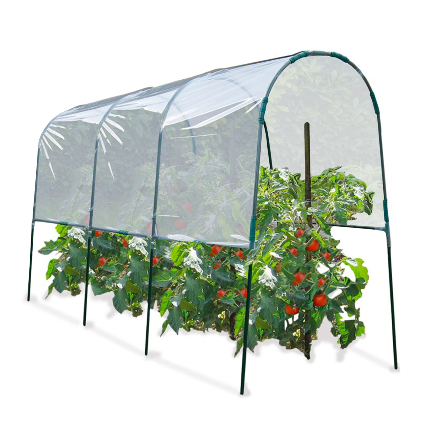 Serre à tomates 4 M - 2