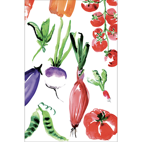 Calcomanía de refrigerador y lavavajillas, vegetales de acuarela decoración fresca, 75 cm x 49 cm