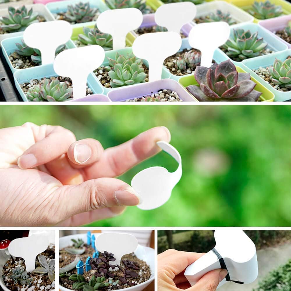 100 pezzi di etichette riutilizzabili in PVC per piante, alberi, frutta