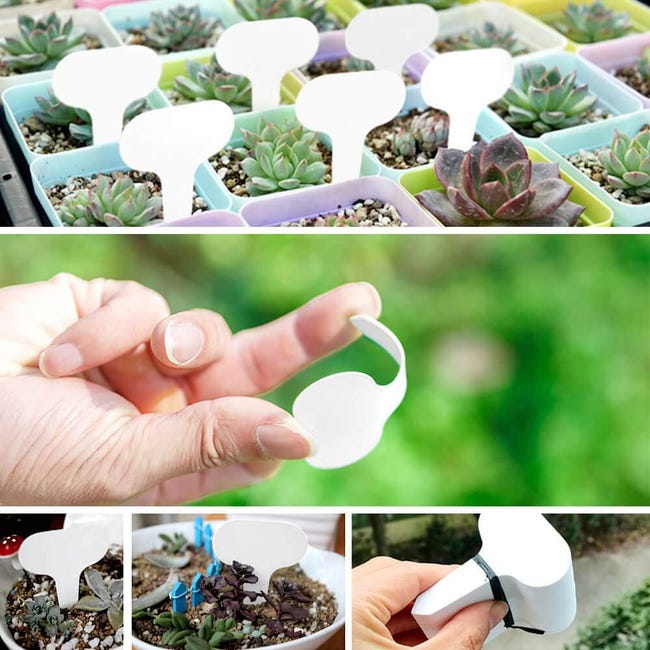 100 pezzi di etichette riutilizzabili in PVC per piante, alberi, frutta 100 pezzi di etichette riutilizzabili in PVC per piante, alberi, frutta