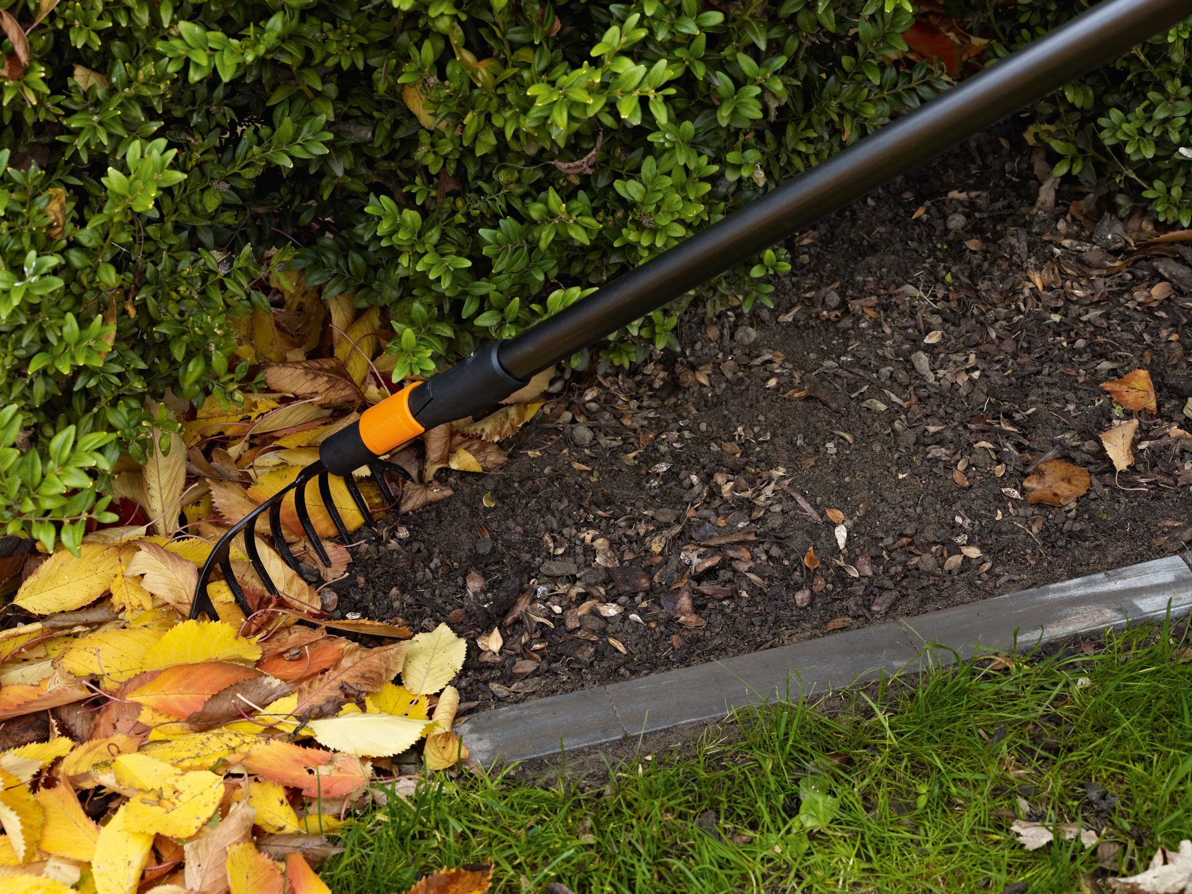 FISKARS Grabie do róż QuikFit Szerokość robocza 240 mm 10 Zębów - 1000651 - 5