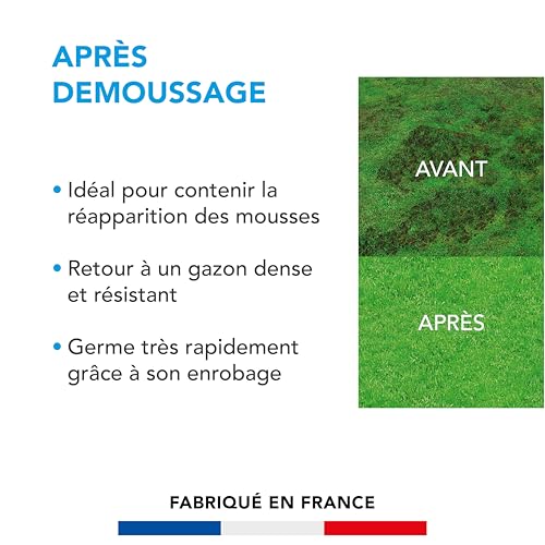BARENBRUG - Soin Après Démoussage - Limite Réapparition Mousses - Gazon Dense et Résistant - Germe Très Rapidement - Semences avec Enrobage - 3KG - 2