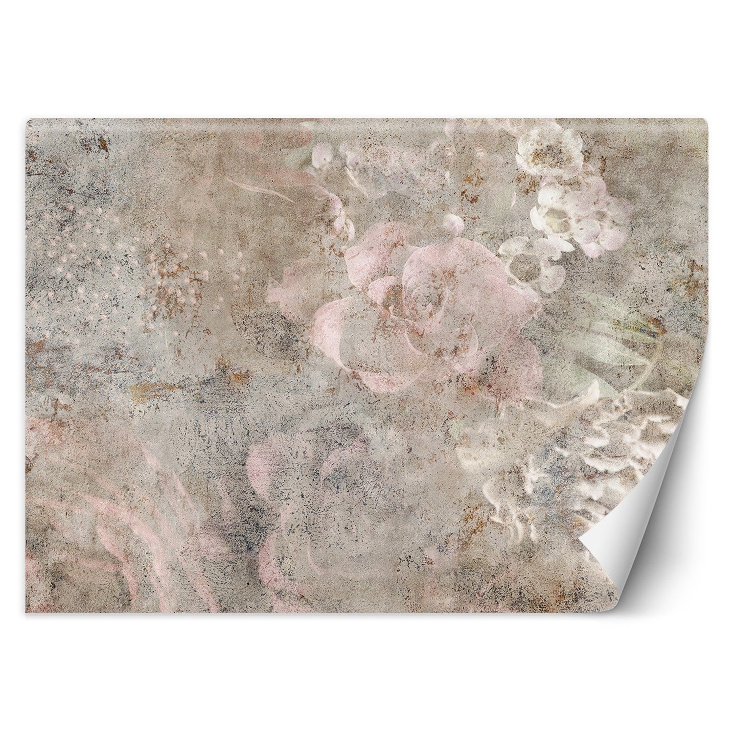 Fototapeta, Beton kwiat róży boho 350x245