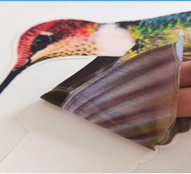Lot de 12 autocollants anti-collision pour fenêtre, motif colibri, motif oiseau, décoration pour verre - 4
