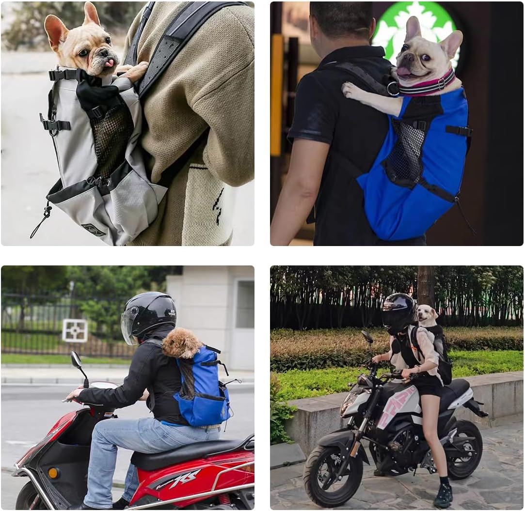 Esta mochila portátil para cães, ajustável e fácil de montar, é perfeita para viagens, caminhadas e acampamentos. - 6
