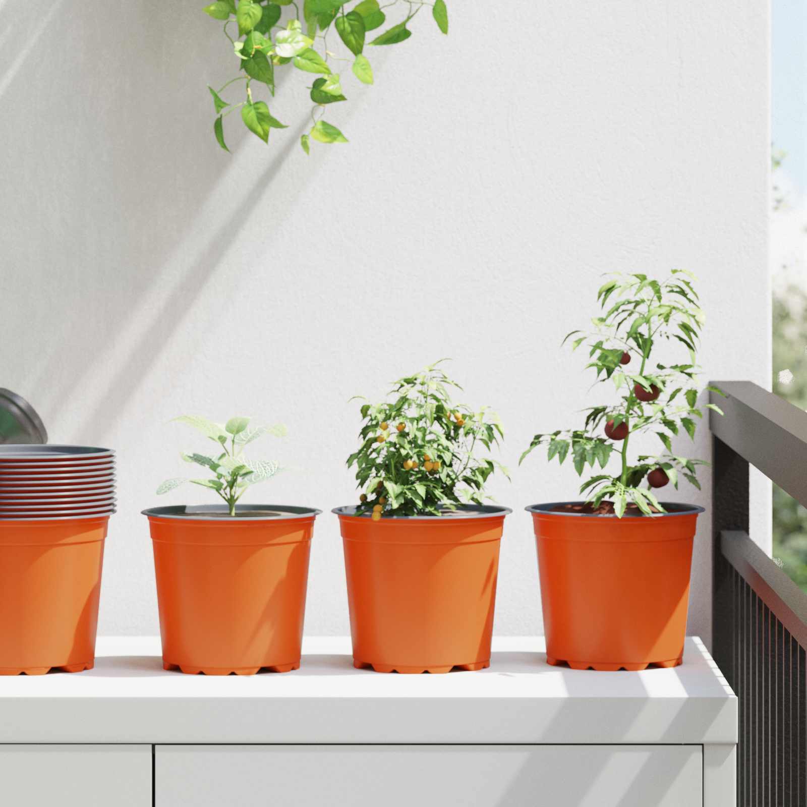 12 sottovasi per vasi da giardino, 16 cm, 26 cm, 32 cm, in plastica, rotondi, per interni ed esterni (16 cm, 26 cm, 32 cm, 4 di ogni dimensione